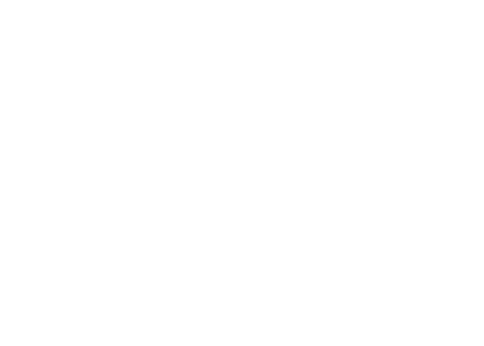 Telematica Internet Service Provider GmbH - Die bessere Verbindung.